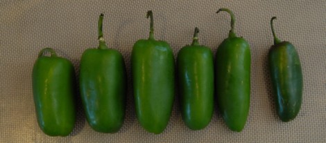 The Fickle Jalapeno  